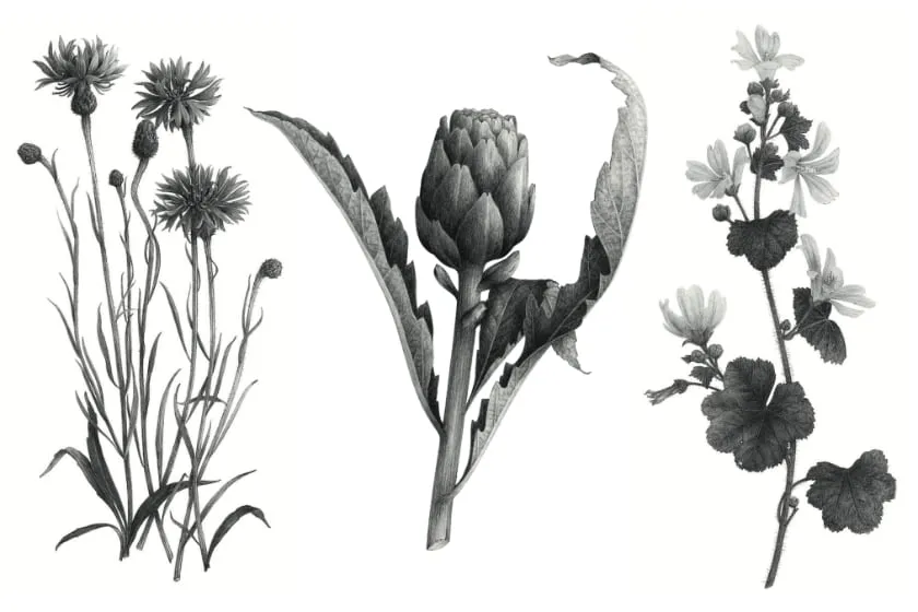 Tatouage éphémère Les fleurs du bien